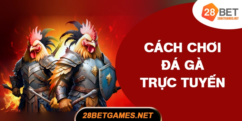 Cách chơi đá gà trực tuyến nâng cao tỷ lệ thắng Cách chơi đá gà trực tuyến nâng cao tỷ lệ thắng